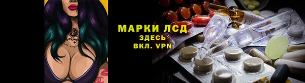 прущие грибы Аркадак